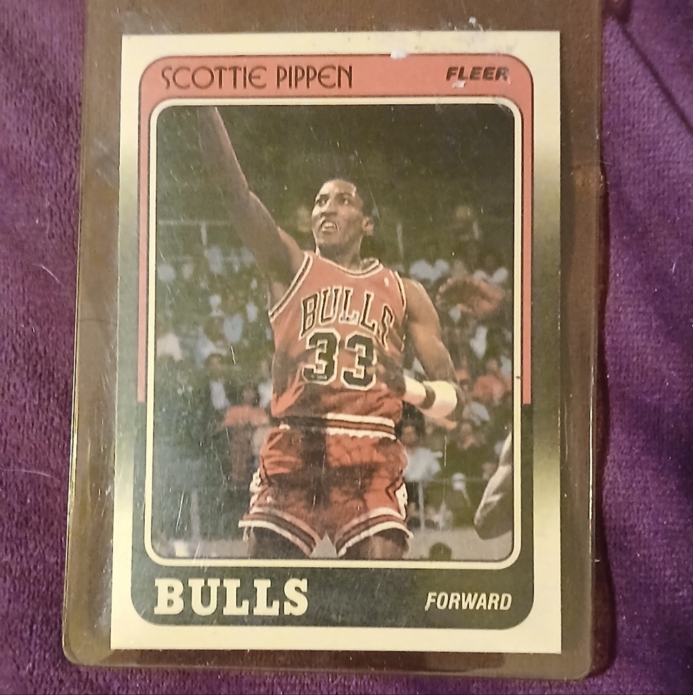 SCOTTIE PIPPEN FLEER #20